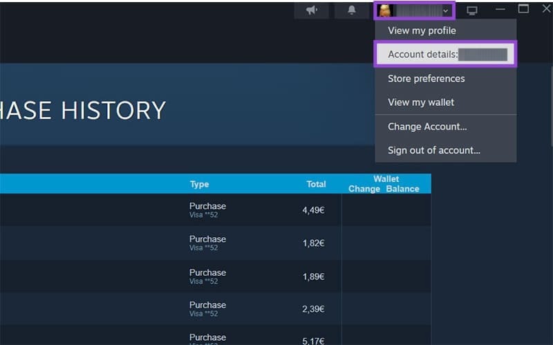 What to Do if Steam Cant Finish a Purchase 5
